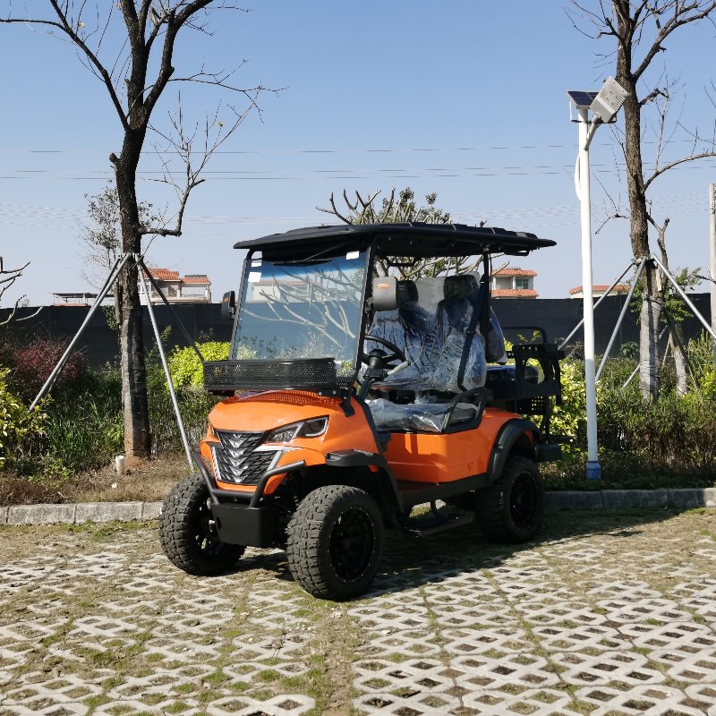 2+2 Sitzer Elektrikjagd mit Lithiumbatterie