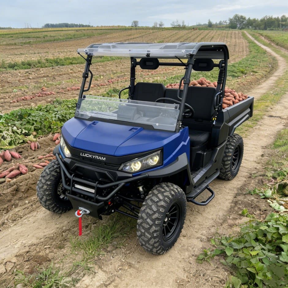 73,6 V 4WD UTV 10 kW Wechselstrommotor EPS-Lenkung 150 Ah Batterie